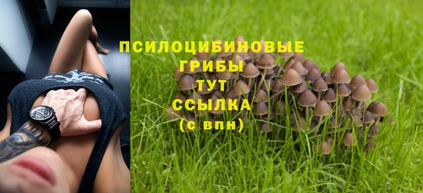 каннабис Дубна