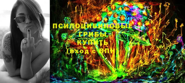стафф Дубовка