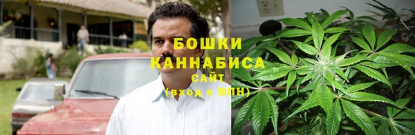 PSILOCYBIN Ростов